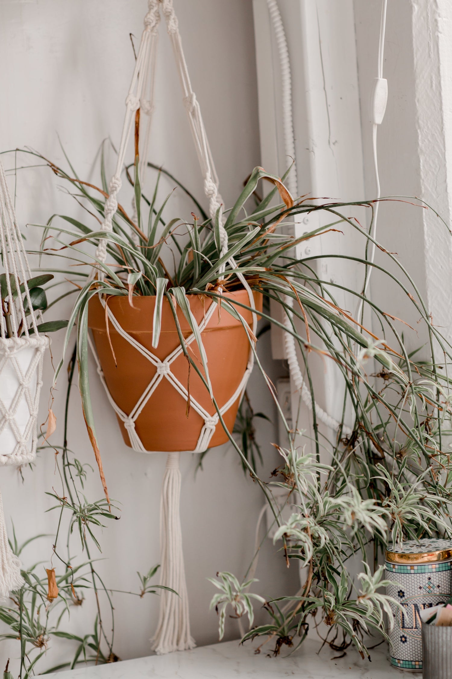 Prieškambario baldai